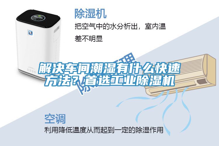 解决车间潮湿有什么快速方法？首选工业MR.好色破解版