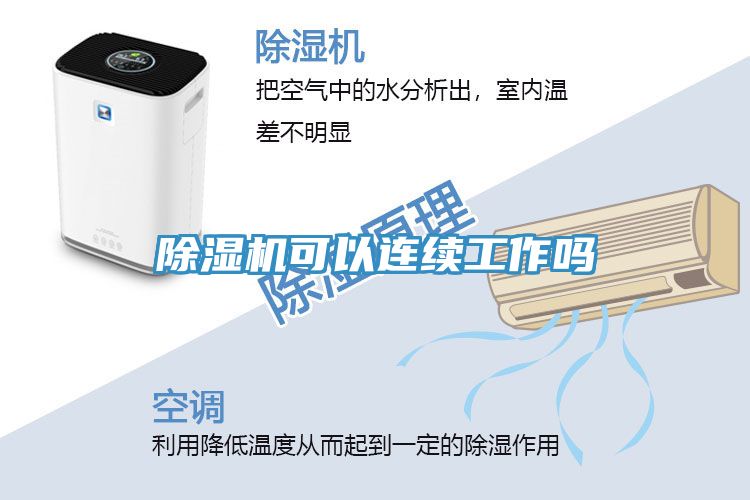 MR.好色破解版可以连续工作吗