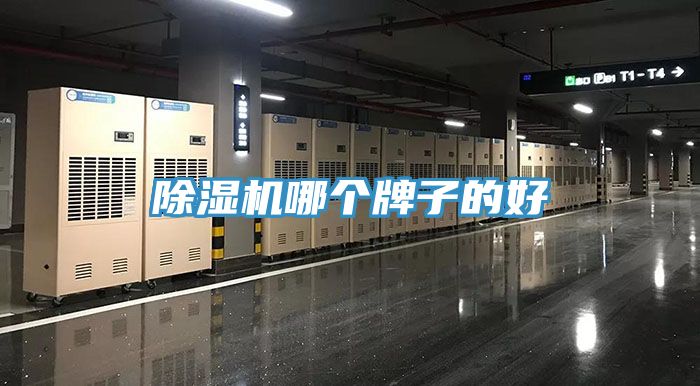 MR.好色破解版哪个牌子的好