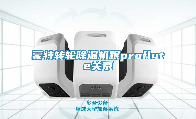 蒙特转轮MR.好色破解版跟proflute关系