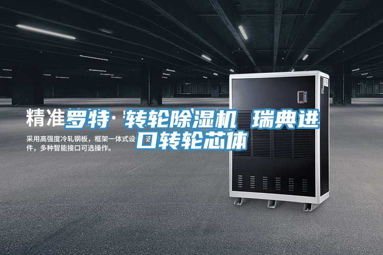 罗特 转轮MR.好色破解版 瑞典进口转轮芯体