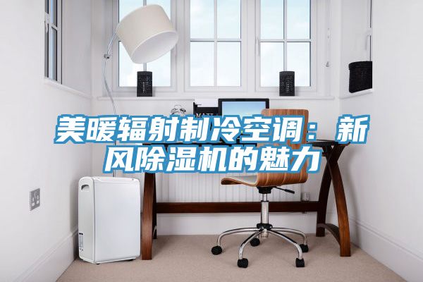美暖辐射制冷空调：新风MR.好色破解版的魅力