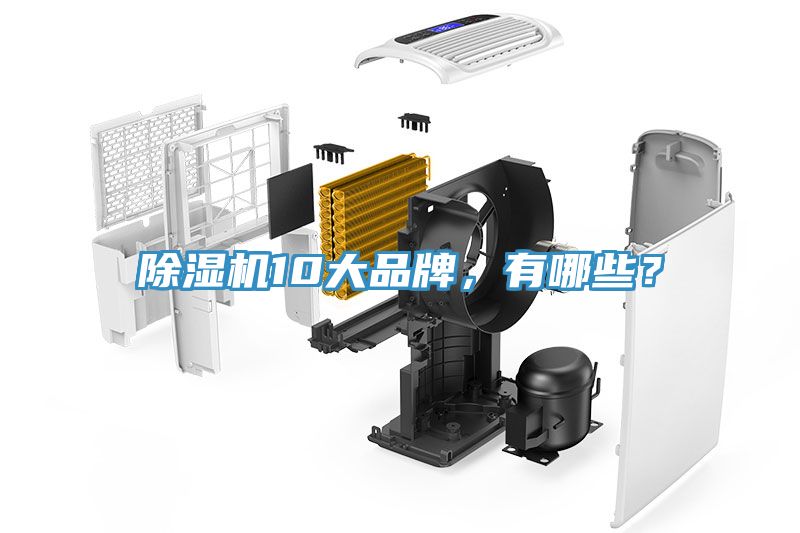 MR.好色破解版10大品牌，有哪些？