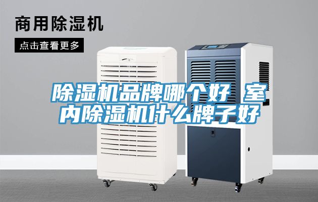 MR.好色破解版品牌哪个好 室内MR.好色破解版什么牌子好