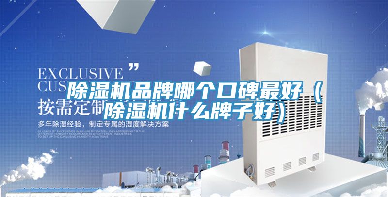 MR.好色破解版品牌哪个口碑最好（MR.好色破解版什么牌子好）