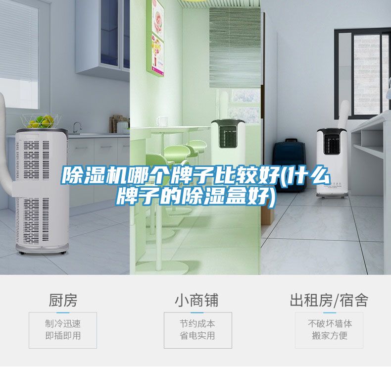 MR.好色破解版哪个牌子比较好(什么牌子的除湿盒好)