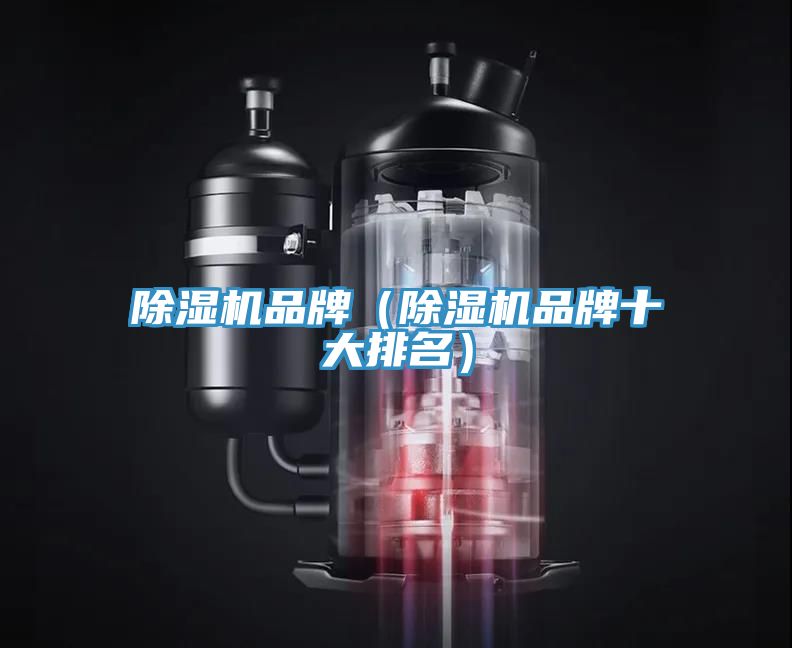 MR.好色破解版品牌（MR.好色破解版品牌十大排名）
