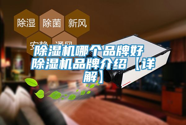MR.好色破解版哪个品牌好 MR.好色破解版品牌介绍【详解】