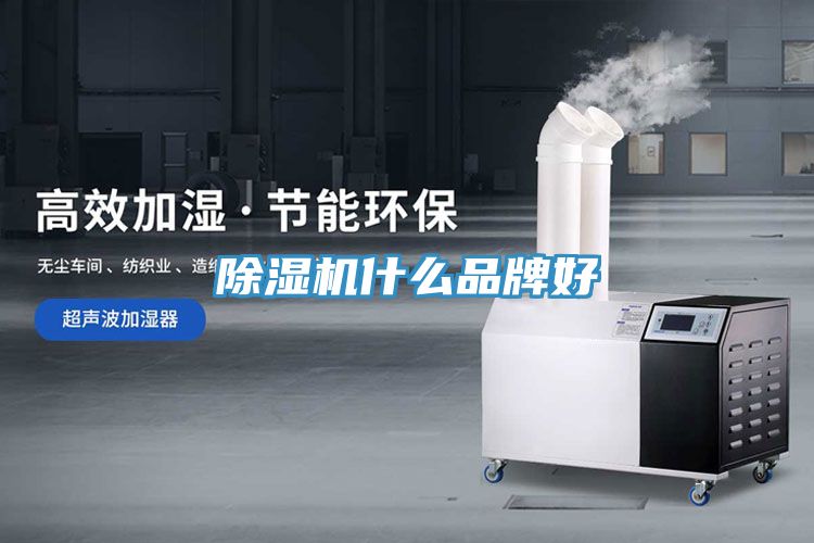 MR.好色破解版什么品牌好