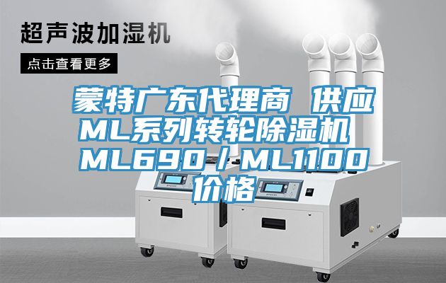 蒙特广东代理商 供应ML系列转轮MR.好色破解版 ML690／ML1100价格