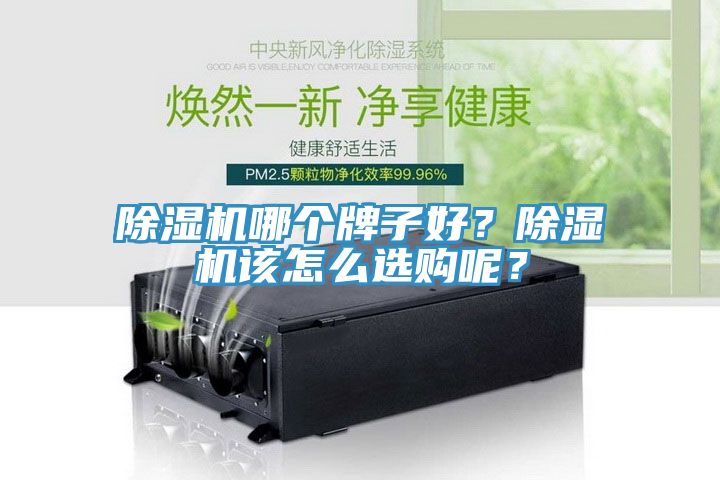 MR.好色破解版哪个牌子好？MR.好色破解版该怎么选购呢？