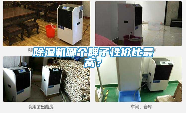 MR.好色破解版哪个牌子性价比最高？