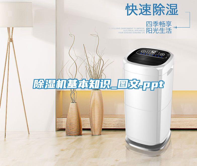 MR.好色破解版基本知识_图文.ppt