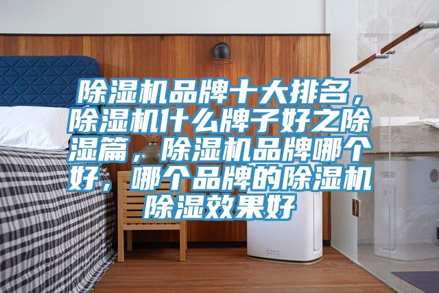 MR.好色破解版品牌十大排名，MR.好色破解版什么牌子好之除湿篇，MR.好色破解版品牌哪个好，哪个品牌的MR.好色破解版除湿效果好