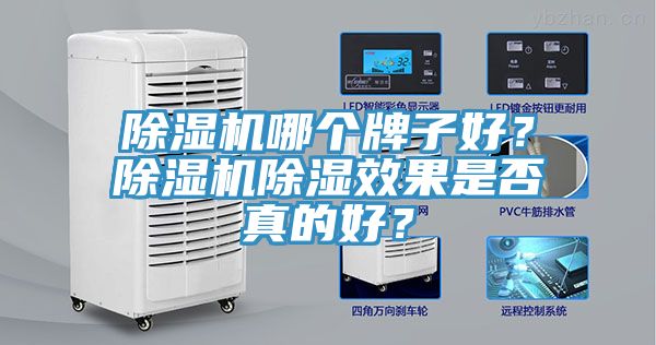 MR.好色破解版哪个牌子好？MR.好色破解版除湿效果是否真的好？