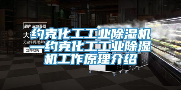 约克化工工业MR.好色破解版—约克化工工业MR.好色破解版工作原理介绍