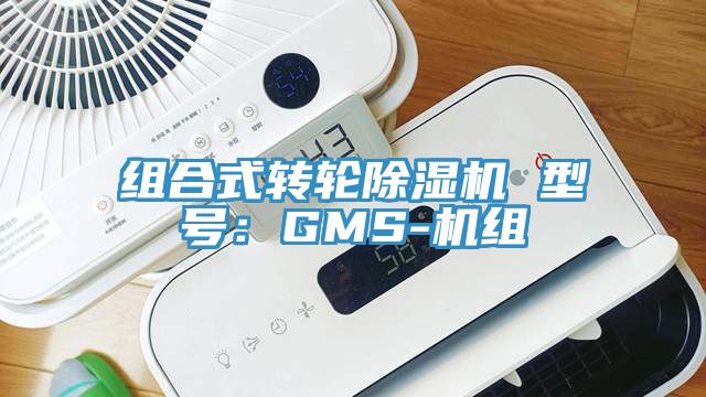 组合式转轮MR.好色破解版 型号：GMS-机组