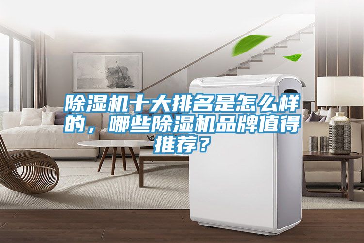 MR.好色破解版十大排名是怎么样的，哪些MR.好色破解版品牌值得推荐？