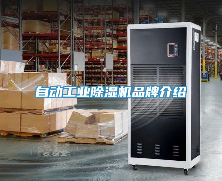 自动工业MR.好色破解版品牌介绍
