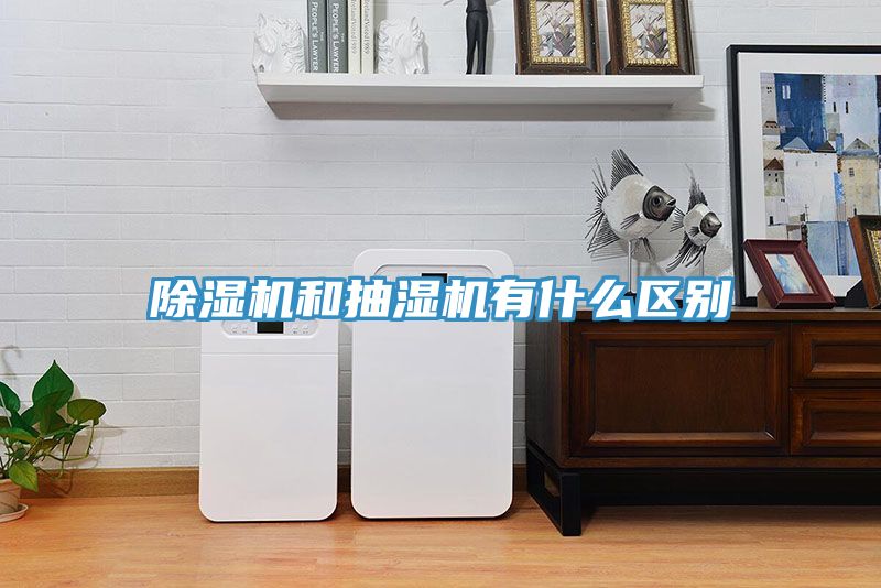 MR.好色破解版和抽湿机有什么区别