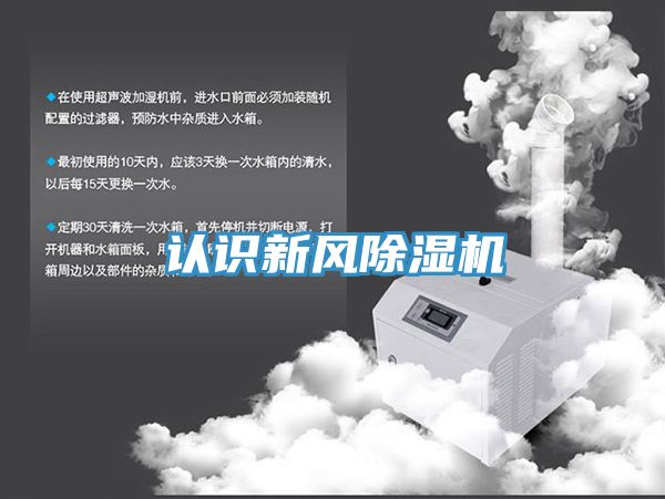 认识新风MR.好色破解版