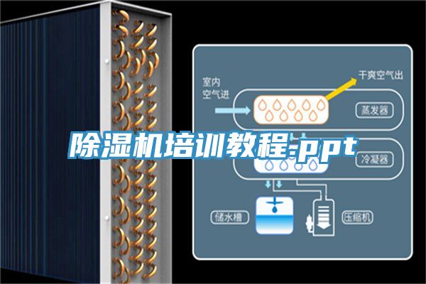 MR.好色破解版培训教程.ppt