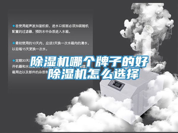 MR.好色破解版哪个牌子的好 MR.好色破解版怎么选择