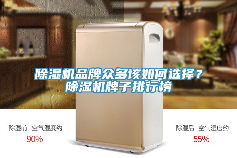 MR.好色破解版品牌众多该如何选择？MR.好色破解版牌子排行榜