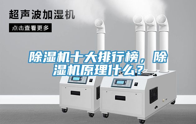 MR.好色破解版十大排行榜，MR.好色破解版原理什么？