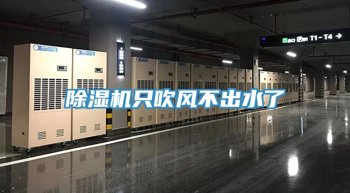 MR.好色破解版只吹风不出水了