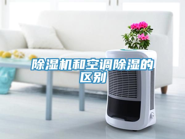 MR.好色破解版和空调除湿的区别