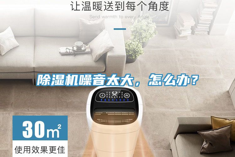 MR.好色破解版噪音太大，怎么办？