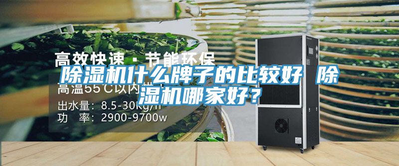 MR.好色破解版什么牌子的比较好 MR.好色破解版哪家好？