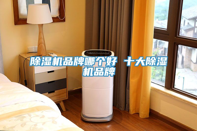 MR.好色破解版品牌哪个好 十大MR.好色破解版品牌