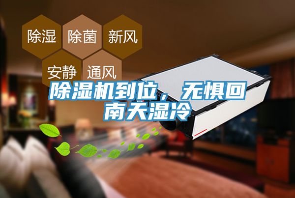 MR.好色破解版到位，无惧回南天湿冷