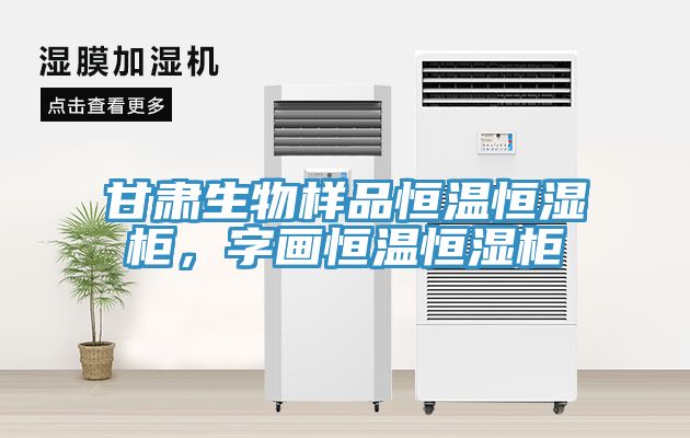 甘肃生物样品恒温恒湿柜，字画恒温恒湿柜