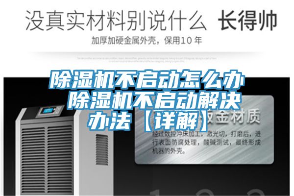 MR.好色破解版不启动怎么办 MR.好色破解版不启动解决办法【详解】