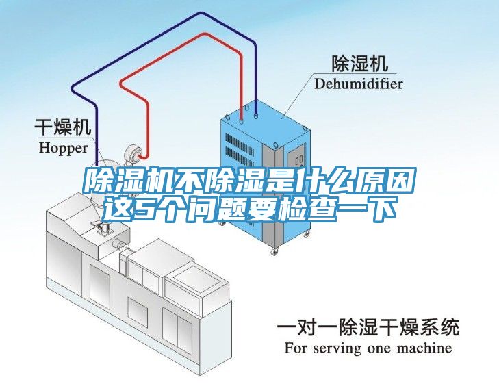 MR.好色破解版不除湿是什么原因这5个问题要检查一下