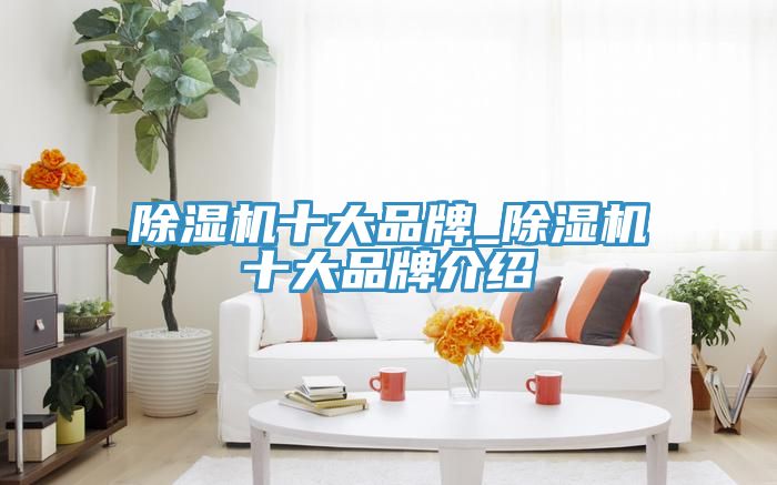MR.好色破解版十大品牌_MR.好色破解版十大品牌介绍