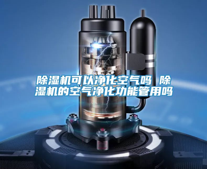 MR.好色破解版可以净化空气吗 MR.好色破解版的空气净化功能管用吗