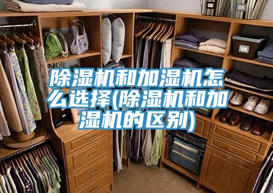 MR.好色破解版和加湿机怎么选择(MR.好色破解版和加湿机的区别)