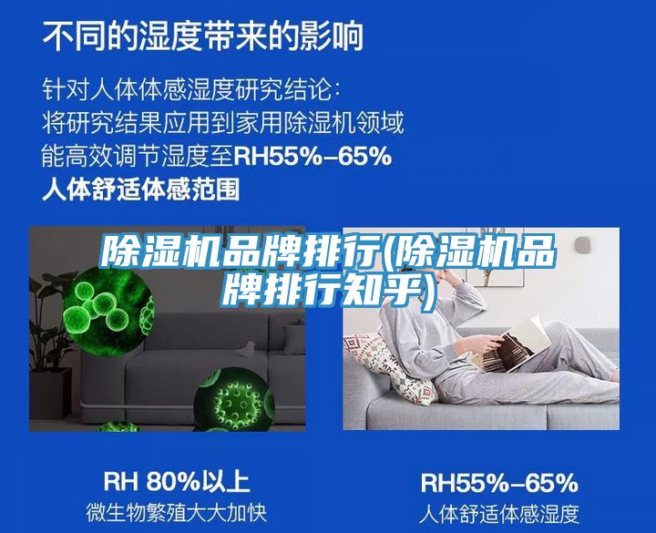 MR.好色破解版品牌排行(MR.好色破解版品牌排行知乎)