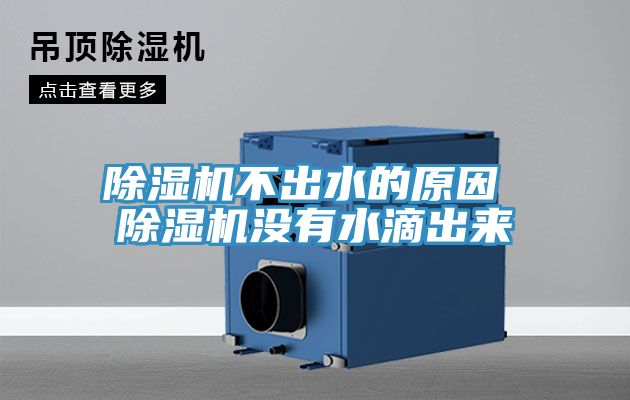 MR.好色破解版不出水的原因 MR.好色破解版没有水滴出来