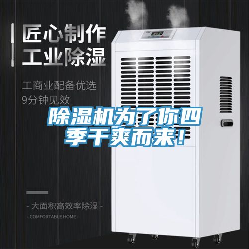 MR.好色破解版为了你四季干爽而来！