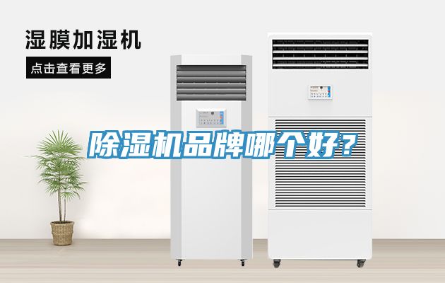 MR.好色破解版品牌哪个好？