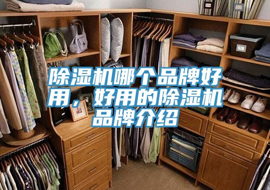 MR.好色破解版哪个品牌好用，好用的MR.好色破解版品牌介绍