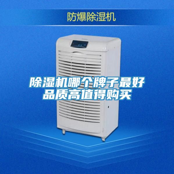 MR.好色破解版哪个牌子最好品质高值得购买