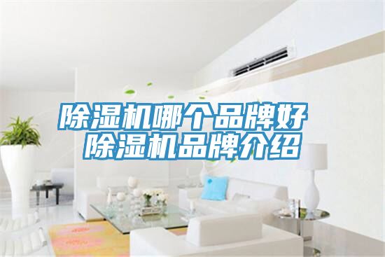 MR.好色破解版哪个品牌好 MR.好色破解版品牌介绍