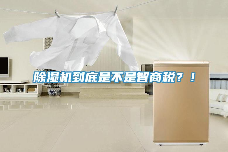 MR.好色破解版到底是不是智商税？！