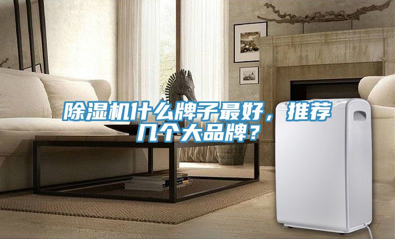 MR.好色破解版什么牌子最好，推荐几个大品牌？